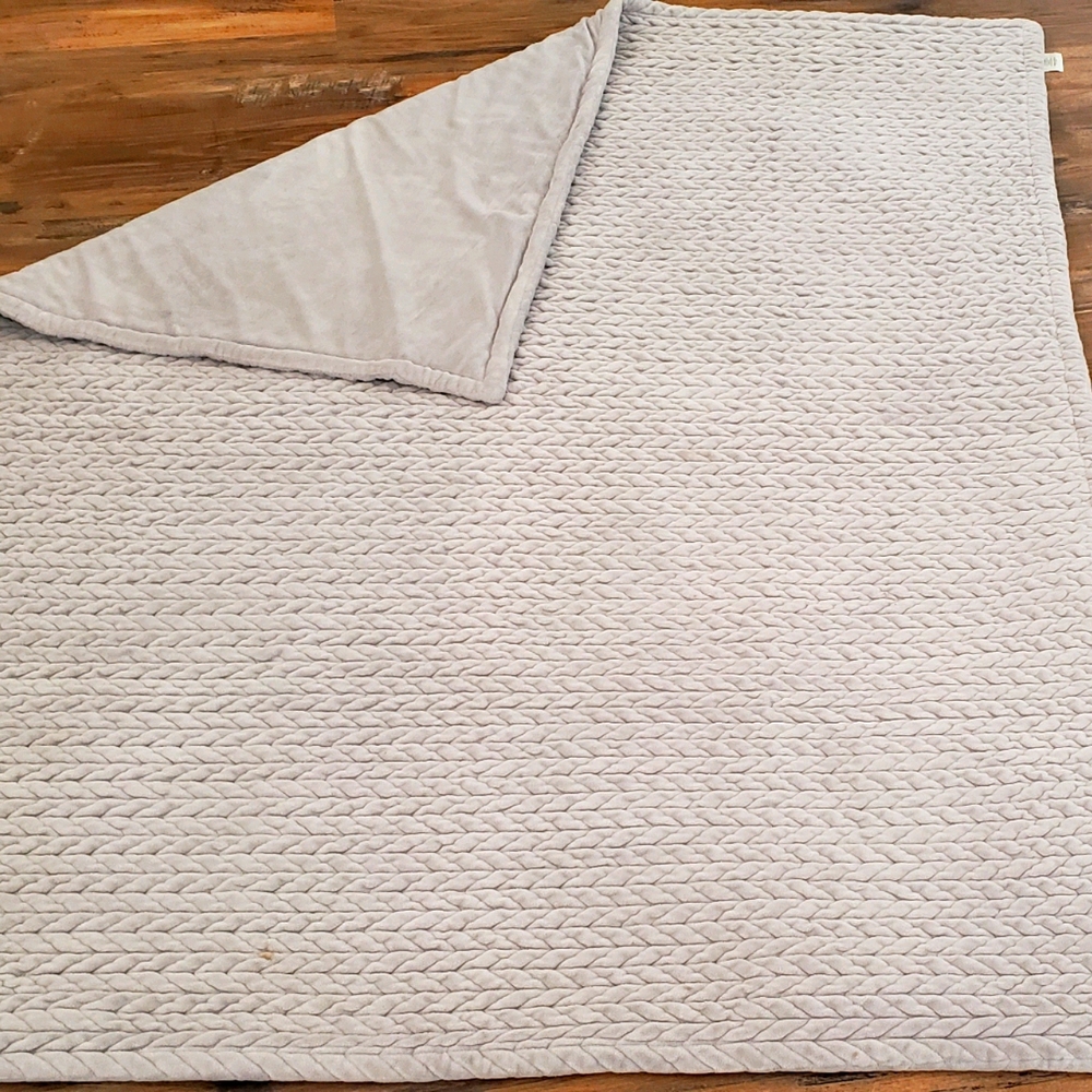 Z Gallerie lilac throw.